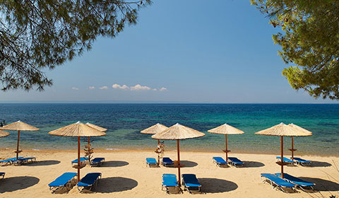 Ранни записвания: 3 нощувки със закуски и вечери в хотел Blue Dolphin Hotel 4*, Халкидики, Гърция през Април и Май! Дете до 11.99г. - безплатно!